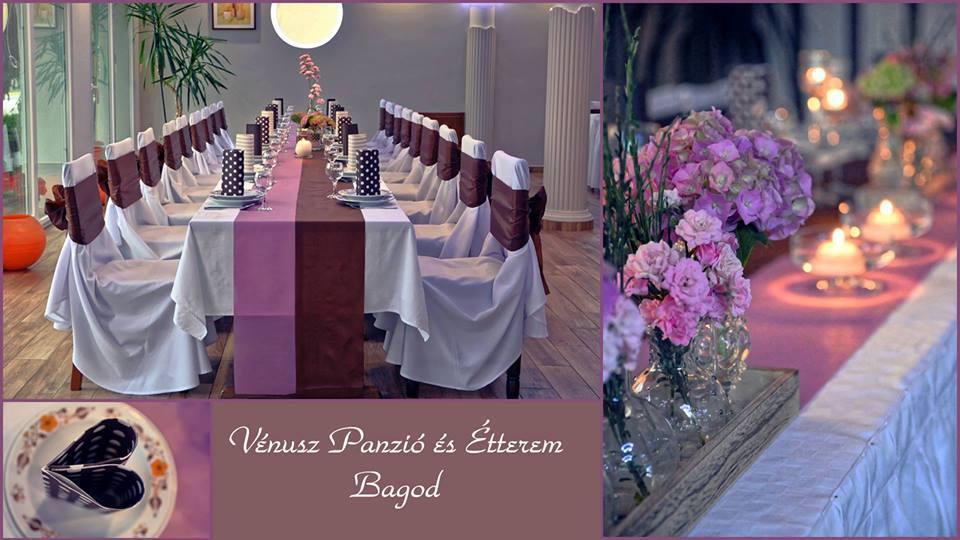 مبيت وإفطار Bagod Venusz Panzio Es Vendeglo المظهر الخارجي الصورة